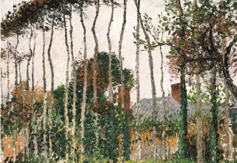 Camille Pissarro – Les grands hêtres à Varengeville, 1899